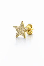 Pendiente de estrella elegante