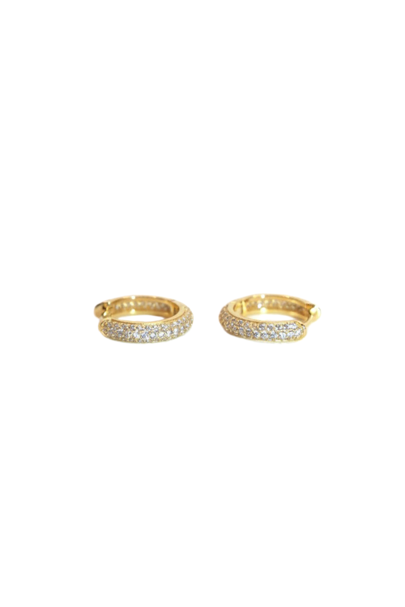 Elegant Hoops gold
